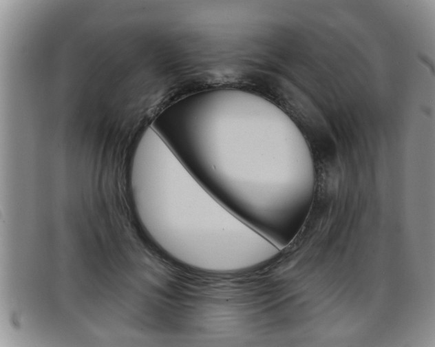 X0000098200700200804241039