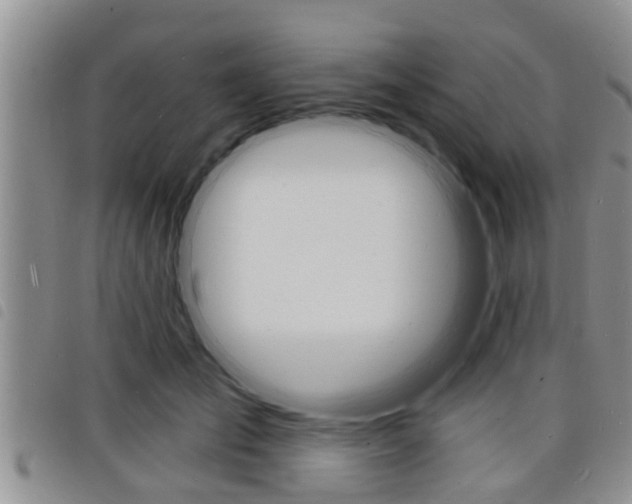 X0000098200701200804241039