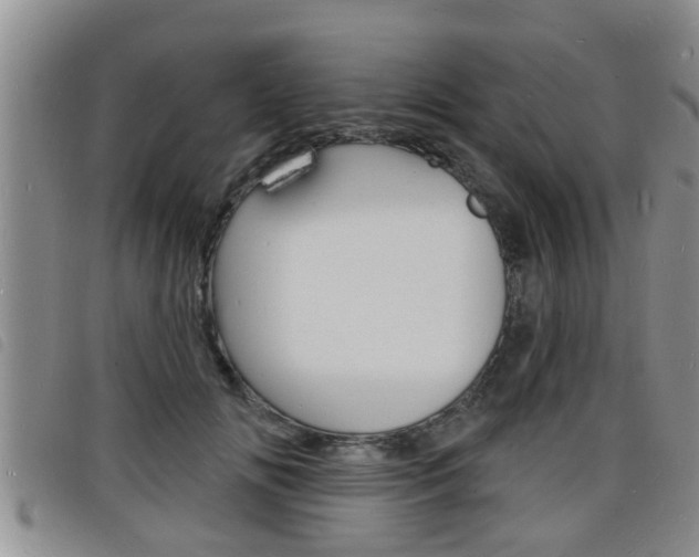 X0000098200702200804241039