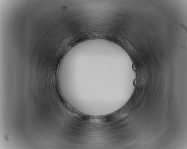 X0000098200706200804241039