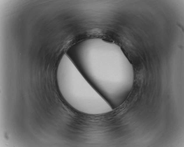 X0000098200708200804241039
