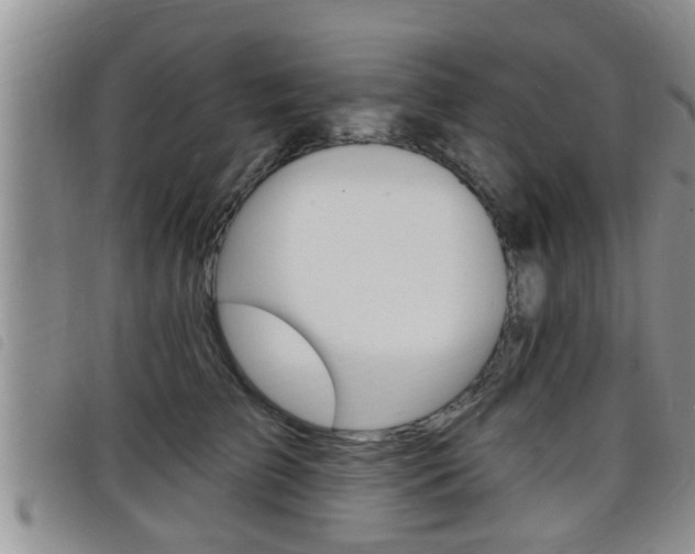 X0000098200709200804241039