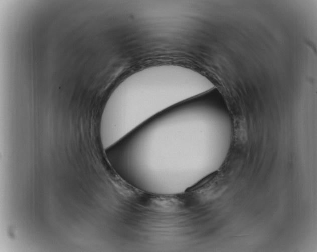 X0000098200712200804241039