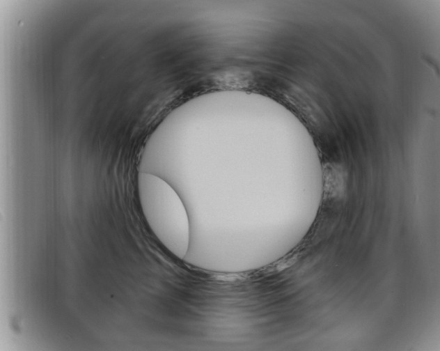 X0000098200713200804241039