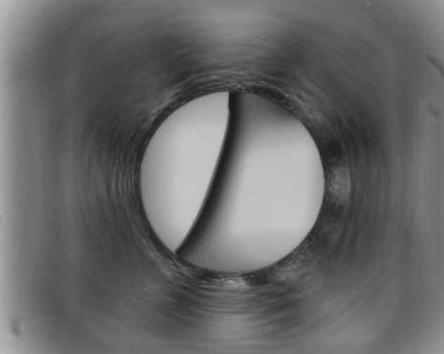 X0000098200715200804241039