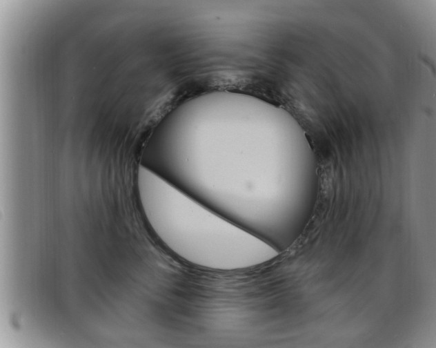 X0000098200716200804241038