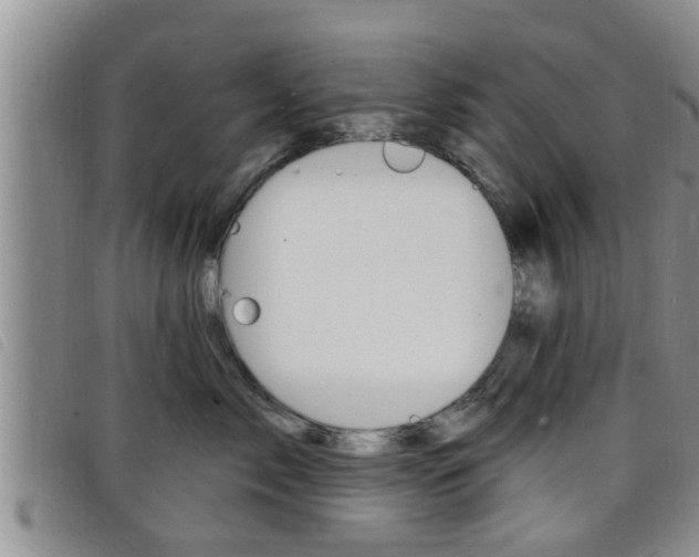 X0000098200717200804241038