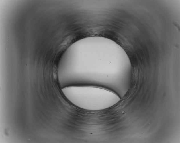 X0000098200719200804241038