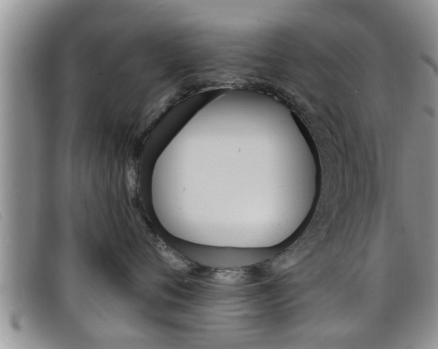 X0000098200720200804241038