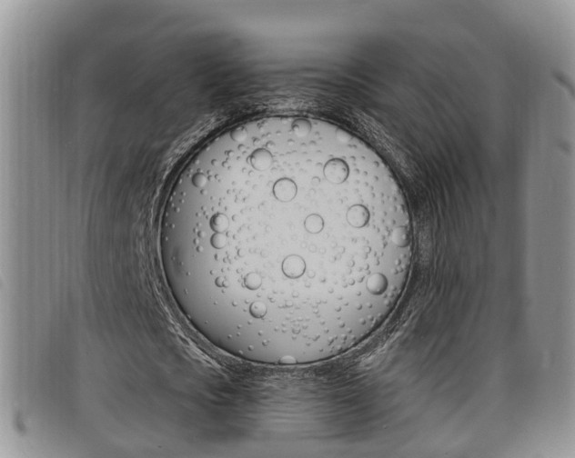 X0000098200721200804241038