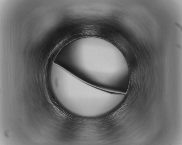 X0000098200722200804241038