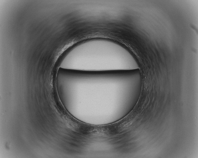 X0000098200727200804241038