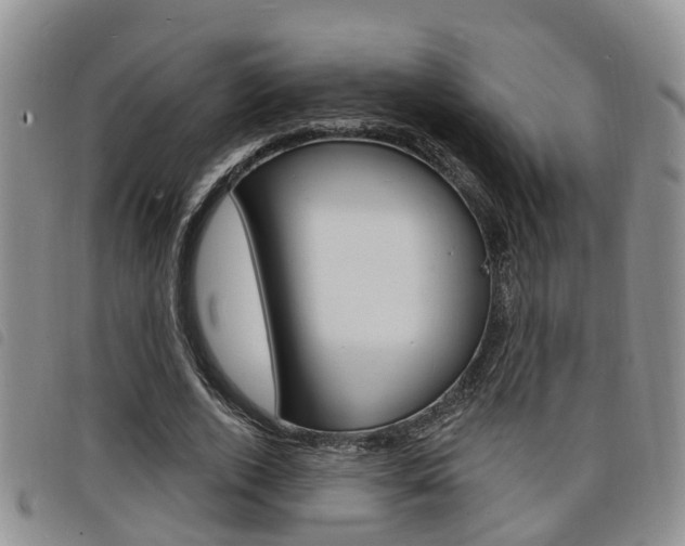 X0000098200728200804241038