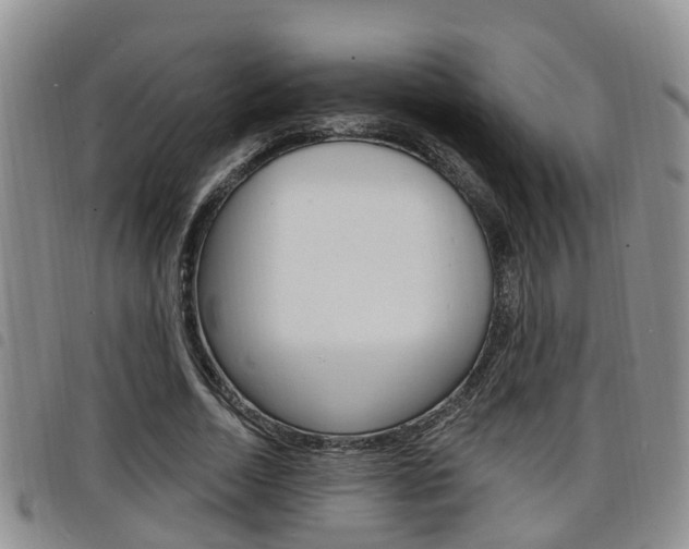 X0000098200730200804241038