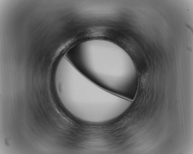 X0000098200732200804241038