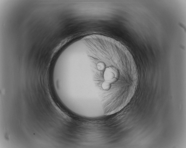 X0000098200734200804241038