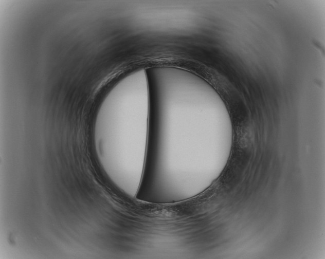 X0000098200735200804241038