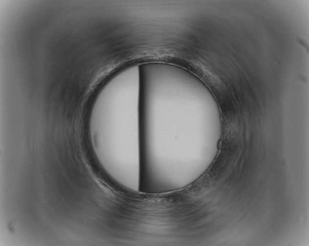 X0000098200736200804241038