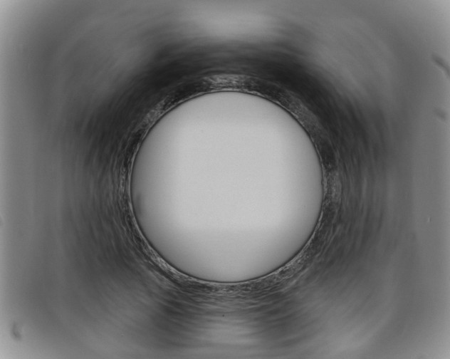 X0000098200737200804241038