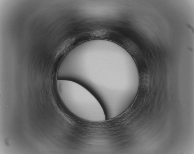 X0000098200738200804241038