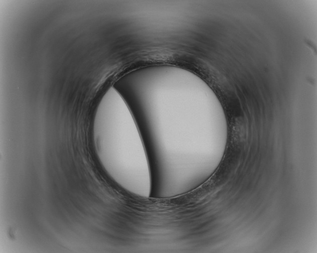 X0000098200739200804241038