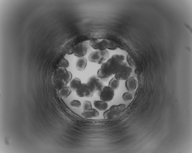 X0000098200741200804241038
