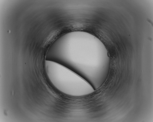 X0000098200742200804241038
