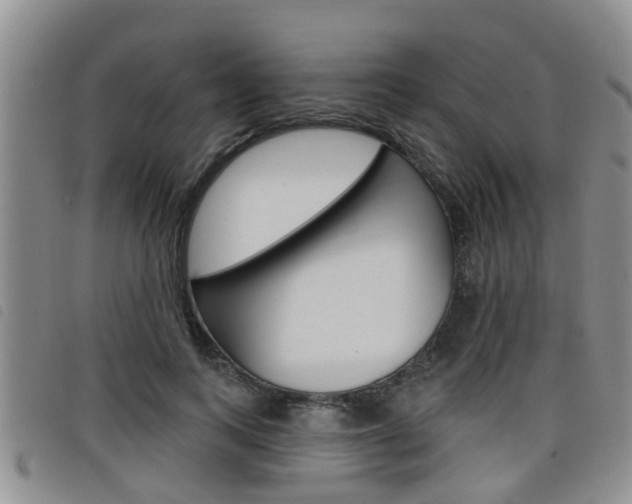 X0000098200743200804241038
