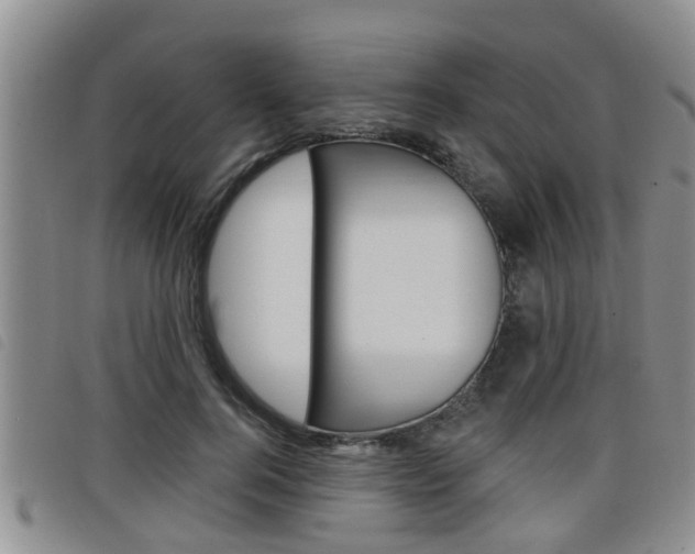 X0000098200744200804241038