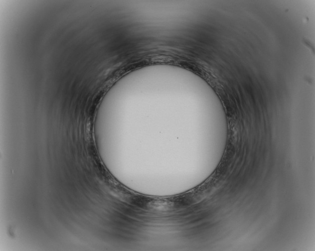 X0000098200745200804241038