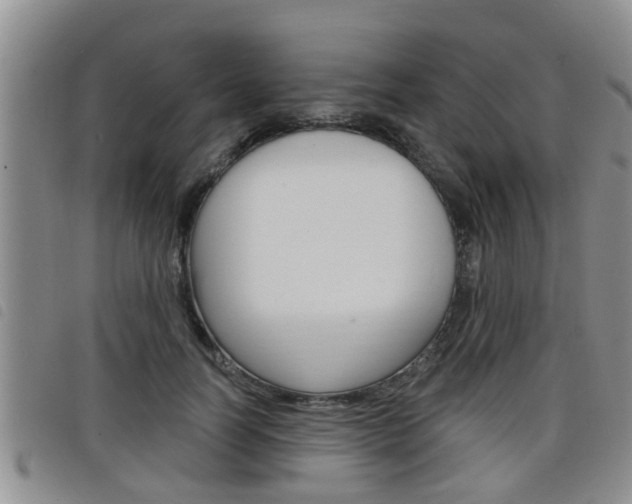 X0000098200746200804241038