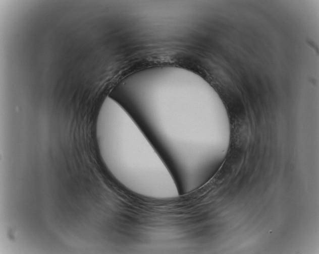 X0000098200747200804241038