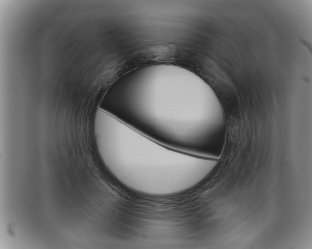 X0000098200748200804241038