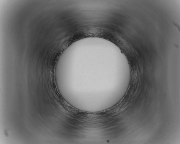 X0000098200749200804241038