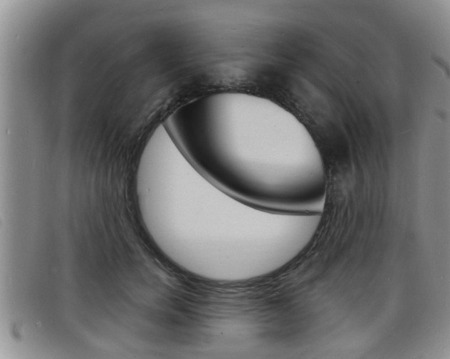 X0000098200750200804241038