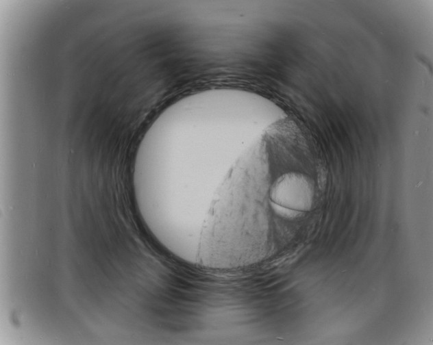 X0000098200751200804241038