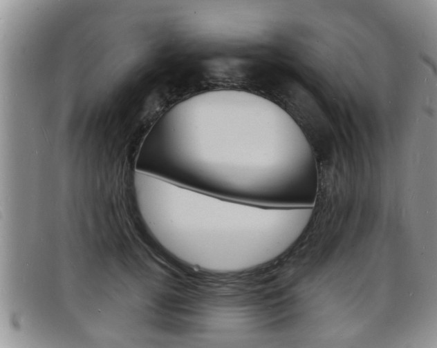X0000098200752200804241038