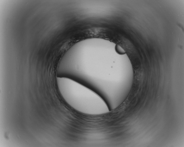 X0000098200754200804241038