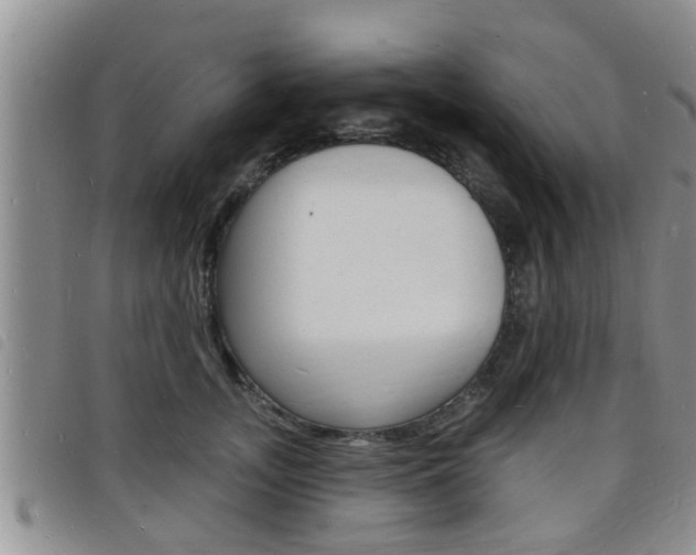 X0000098200755200804241038