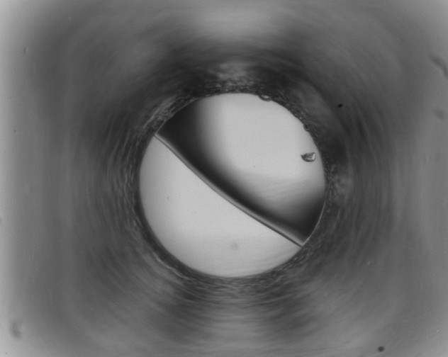 X0000098200756200804241038