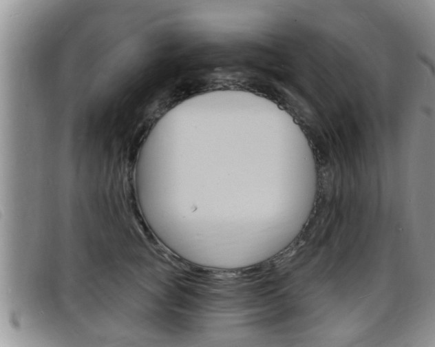 X0000098200757200804241038