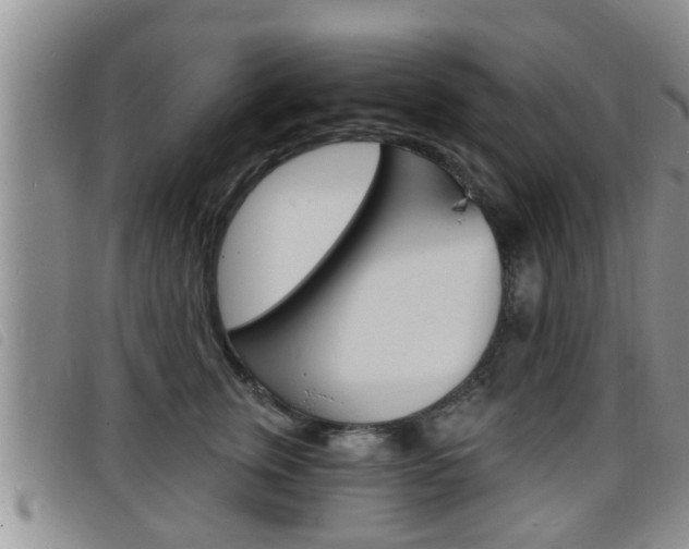 X0000098200759200804241038