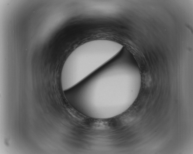 X0000098200760200804241038