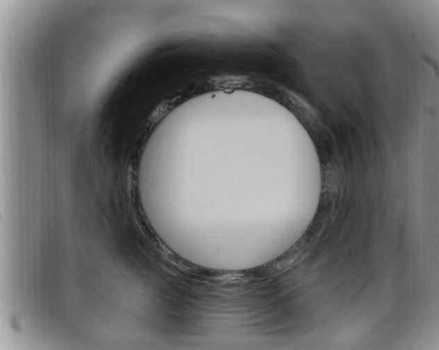 X0000098200761200804241038