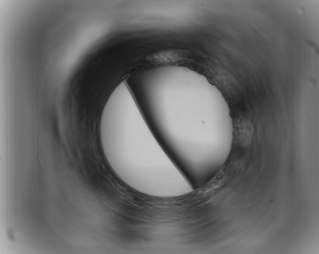 X0000098200762200804241038