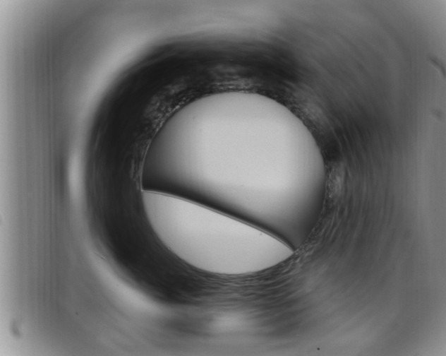X0000098200764200804241038