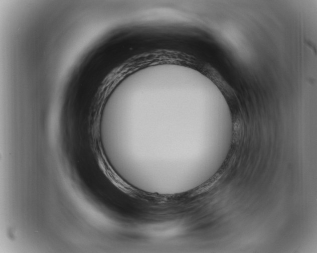 X0000098200765200804241038