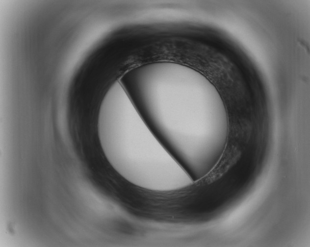 X0000098200766200804241038