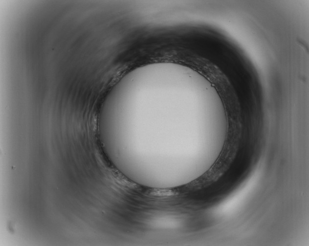 X0000098200767200804241038