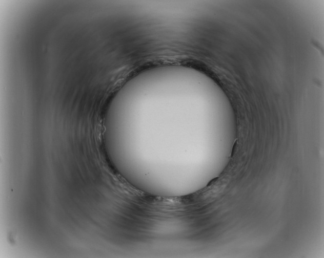 X0000098200768200804241038